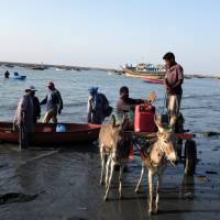 Pakistani fishermen in Gwadar haul away their catch at the end of the day on Oct. 4. | REUTERS