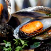Mussels in white wine and tomato sauce are served at a restaurant in Warsaw. Microplastics have been detected in mussels worldwide. | REUTERS
