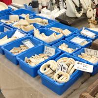 A photo from conservation group WWF Japan shows ivory products on sale at a trade fair in Tokyo in August. | KYODO