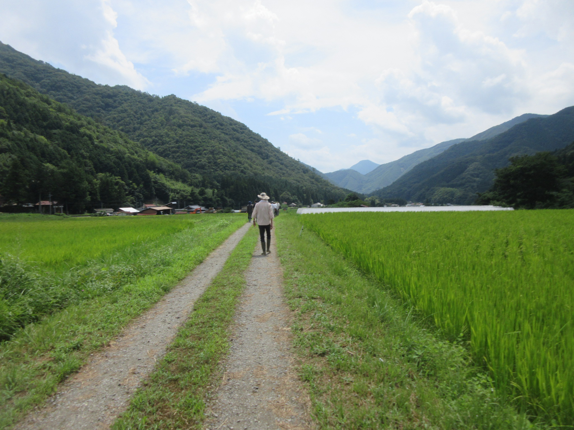 A satoyama scene of a vast field that spreads in a valley. | KOSUKE MOTANI