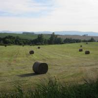 The farms in Hokkaido are a wonderful example of satoyama in Japan. | KOSUKE MOTANI