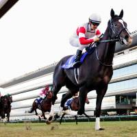 Danon Premium comes home to win the Asahi Hai Futurity Stakes at Hanshin Racecourse on Sunday. | KYODO