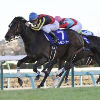 Cristian Demuro rides Time Flyer to a victory in the Hopeful Stakes on Thursday at Nakayama Racecourse. | KYODO