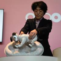 Izumi Kawanishi, head of Sony\'s AI robotics business group, takes an Aibo out of a cocoon during a \"birthday ceremony\" Thursday in Tokyo held for new owners who pre-ordered the robotic canine. | AFP-JIJI