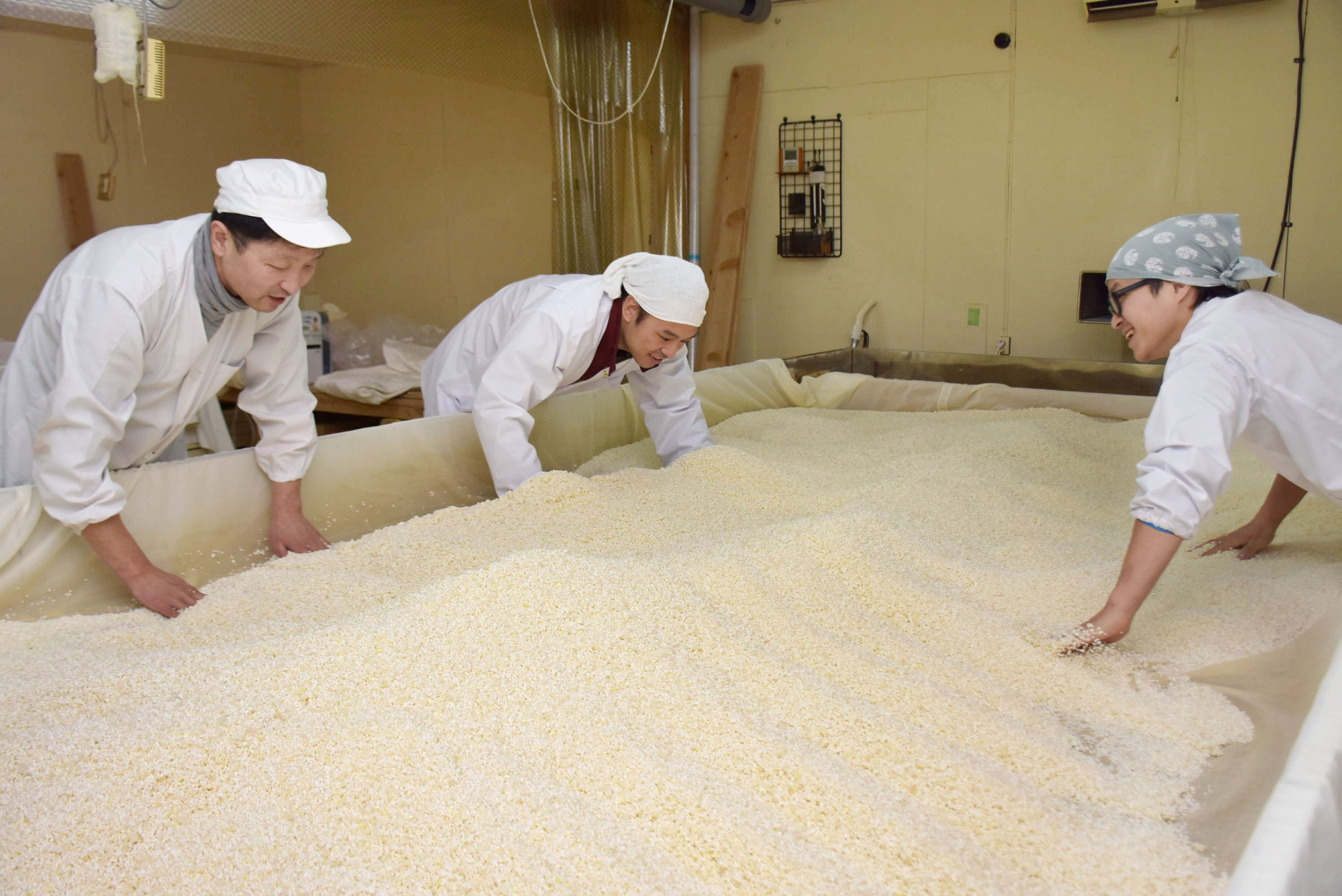 Wakaze President Takuma Inagawa (center) checks malted rice at his brewery in Tsuruoka, Yamagata Prefecture, last month. | KYODO