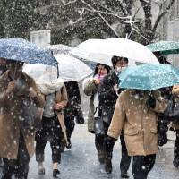 Storm blankets Tokyo with a year's worth of snow in a day