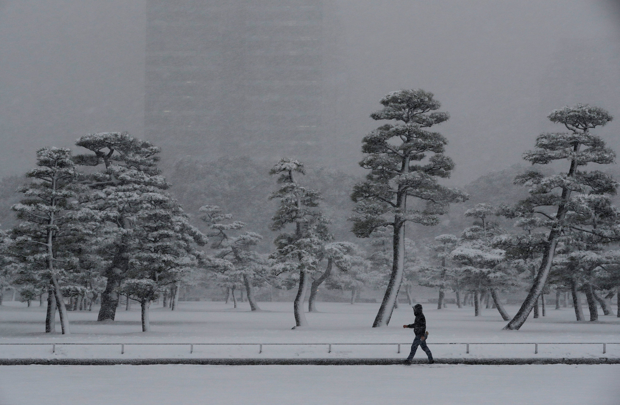 Tokyo hit by heaviest snow since 2014 - The Japan Times