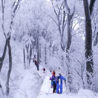 Snowshoeing allows access to some of Mount Daisen\'s most scenic areas. | TAKASHI KARAKI