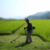 Many Japanese farmers are concerned about the impact the TPP will have on their livelihoods, and consumer groups fear the impact that the trade pact will have  on the content and quality of food sold in Japan. | BLOOMBERG