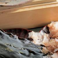 Umami-rich ingredients such as katsuobushi (bonito flakes) (right) and konbu  are used in combination to create flavorful dashi. | MAKIKO ITOH