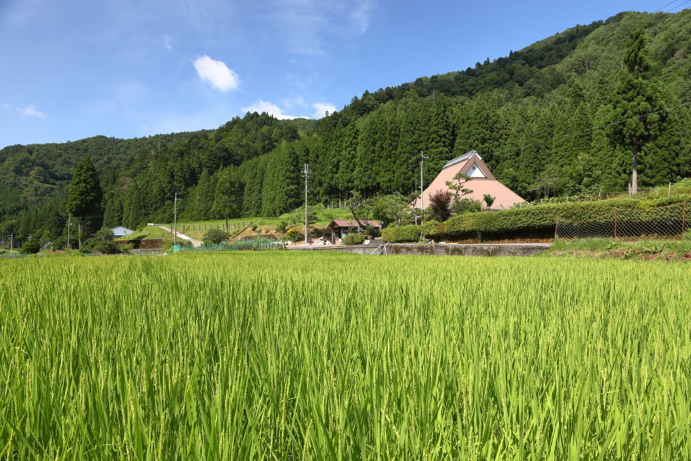 Picture perfect: Volunteering on a farm surrounded by mountains and with a cool stream just outside its front door might sound tantalizing, but volunteers need to be ready to get their hands dirty. | MIDORI FARM