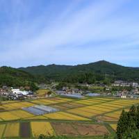 Rice fields in the Iriya district of Minamisanriku, Miyagi Prefecture. | NTT DOCOMO, INC.