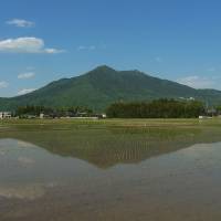 Rural beauty exemplified by a rice paddy and Mount Tsukuba. | MT. TSUKUBA AREA GEOPARK PROMOTION COUNCIL