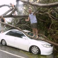 Tourists climb on a tree that was uprooted by Tropical Cyclone Marcus car in Australia\'s Northern Territory capital city of Darwin on Sunday. | AAP / GLENN CAMPBELL / VIA REUTERS