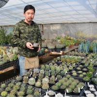 Hiromitsu Goto, a local farmer who builds special greenhouses for edible cactus, poses with an ornamental variety grown in Kasugai, Aichi Prefecture. | KYODO