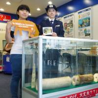 Officials at Haneda airport\'s customs and World Wildlife Fund run a campaign to warn that bringing ivory products into other countries is illegal last week. | KYODO
