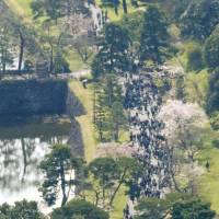 Inui Street reopened to the public on Saturday, allowing people to enjoy the blooming cherry blossoms on the grounds of the Imperial Palace in Tokyo. | KYODO