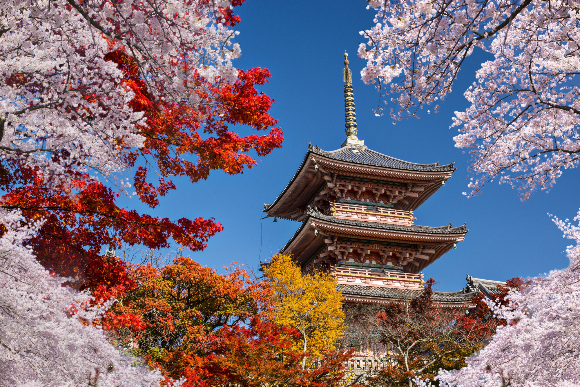 Japan Times