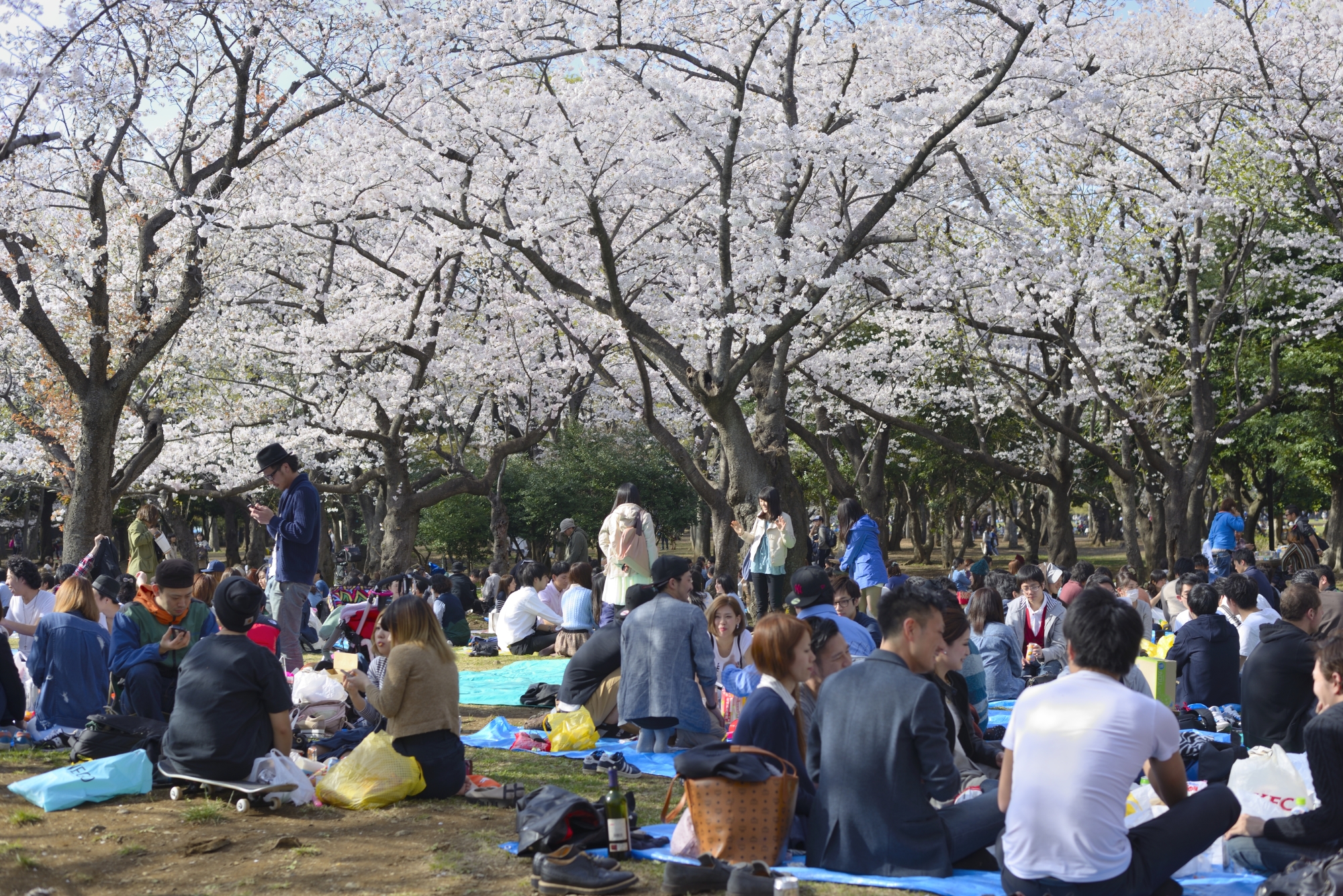 Japan Times