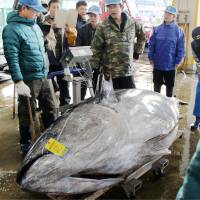 A 2.7-meter-long bluefin tuna weighing in at 450 kilograms is seen at Nachikatsuura fishing port in Wakayama Prefecture on Monday. The heaviest tuna handled at the port since it opened in 1949 fetched about &#165;7,150,000. | KUMANO SHIMBUN / VIA KYODO
