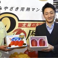 These premium mangoes matched a price record when they fetched &#165;400,000 on Monday at the first wholesale auction of the season in the city of Miyazaki. | KYODO