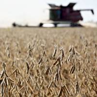 Soybeans are harvested with a combine harvester in Princeton, Illinois. After the U.S. introduced fresh tariffs on many Chinese products this week, Beijing fired back Wednesday with its own threat to impose 25 percent tariffs on 106 American products, including soybeans. | BLOOMBERG