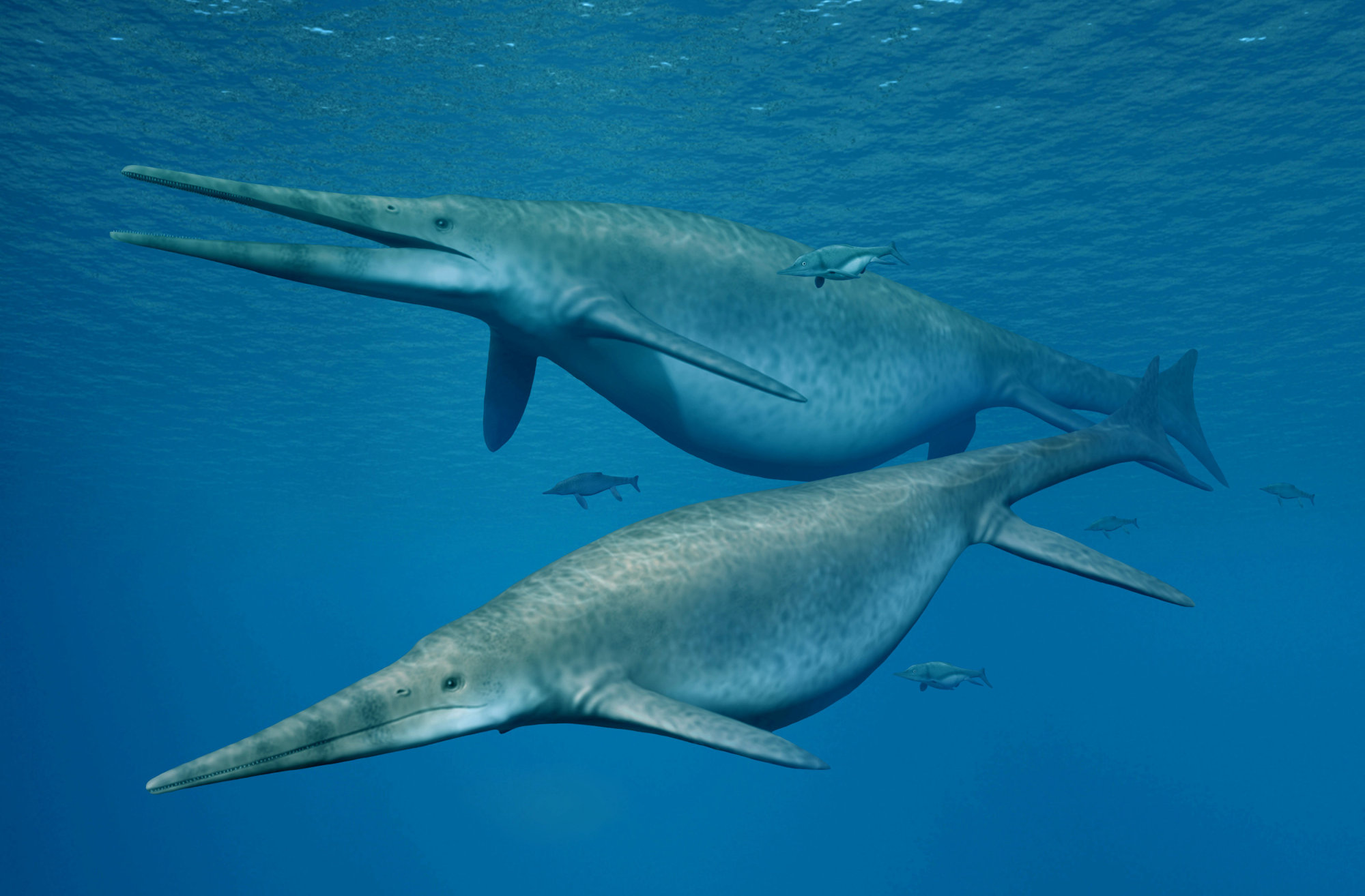 A jawbone from a giant ichthyosaur similar to this species pictured in this image was found on an English beach. Scientists have determined that the huge marine reptile that lived during the Triassic Period was one of the largest seagoing animals in history. | NOBUMICHI TAMURA / VIA REUTERS