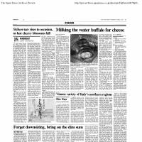 Throwback: Robbie Swinnerton\'s first food column for The Japan Times. | THE JAPAN TIMES
