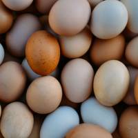 Slow mover: A lack of consumer demand, among other factors, means free range produce isn\'t yet widely available in Japan. | GETTY IMAGES