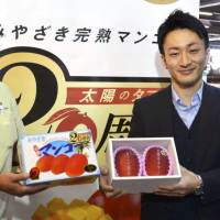 Fine fruit: A pair of mangoes went for a whopping &#165;400,000 at an auction in the city of Miyazaki. | KYODO