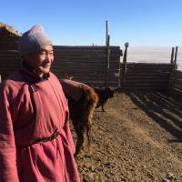 Herder Jugdur Samdan is seen at his winter camp in Arkhangai province, Mongolia, on Feb. 3. | THOMSON REUTERS FOUNDATION/MAX BARING