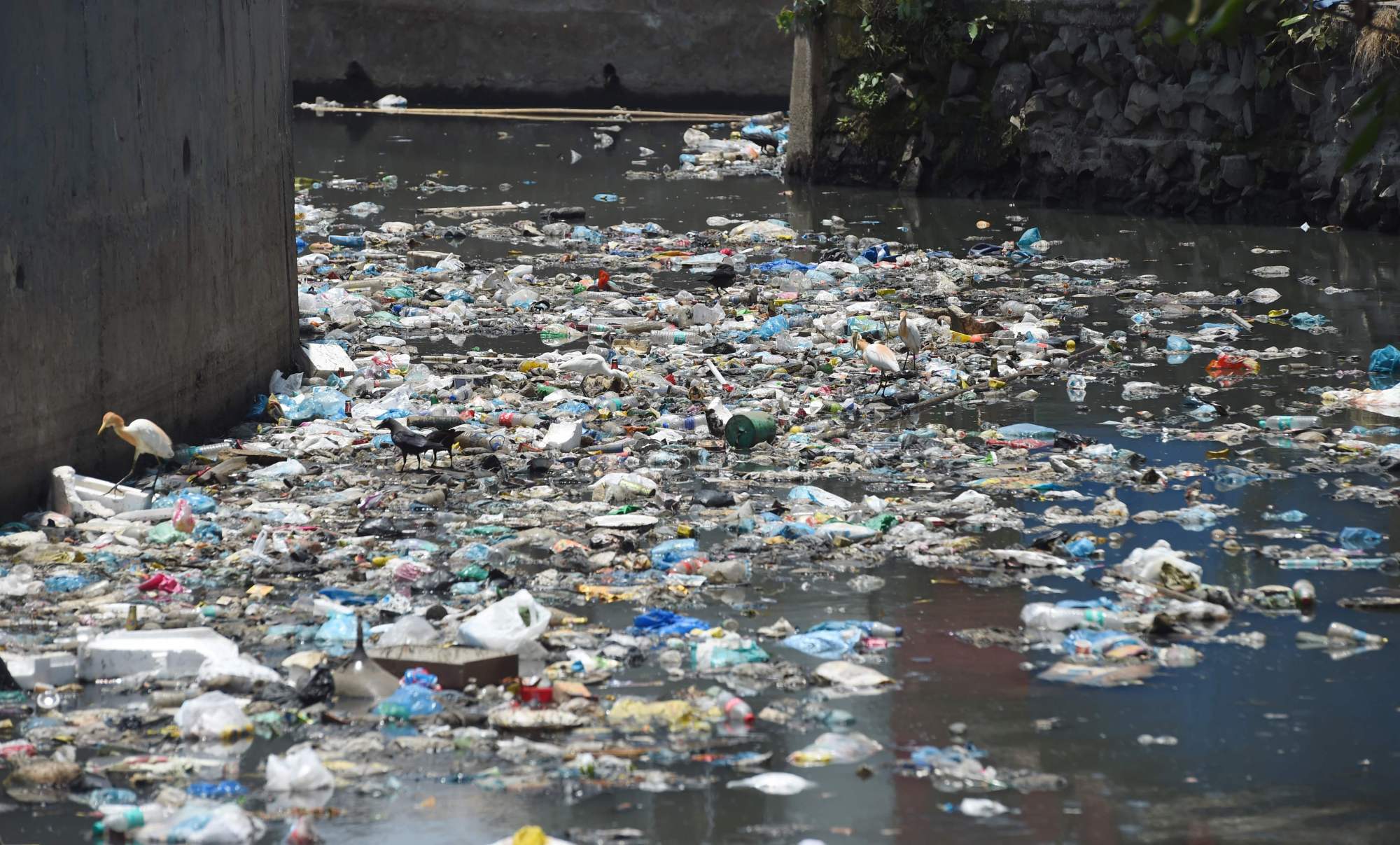 Plastic and other garbage float in a sewage drain in Mumbai on Monday. | AFP-JIJI