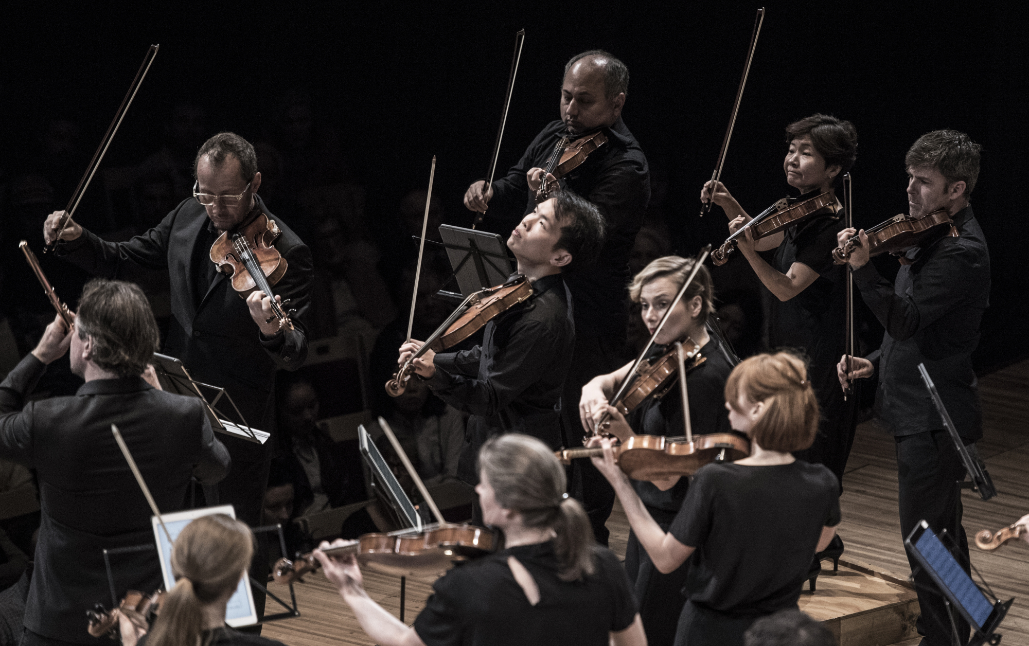 Homecoming: Aiko Goto (second from right, top row) joined the Australian Chamber Orchestra 20 years ago and returns with her colleagues for a pair of concerts at the end of May. | NIC WALKER, AUSTRALIAN CHAMBER ORCHESTRA