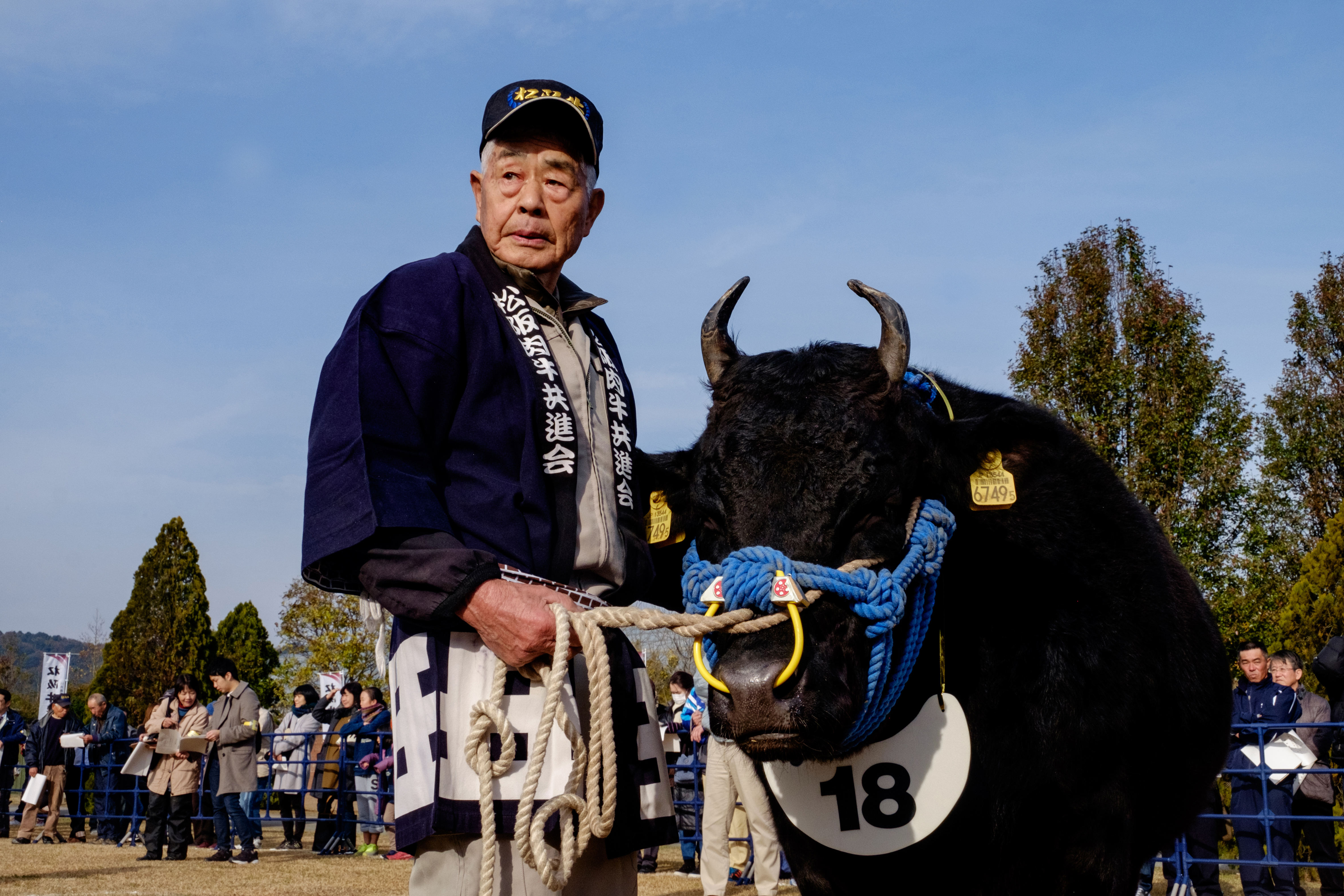 Japan Times