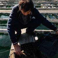 Oyster farmer and head of the local pearl association, Bunnai Morishita displays his oysters. | LANCE HENDERSTEIN