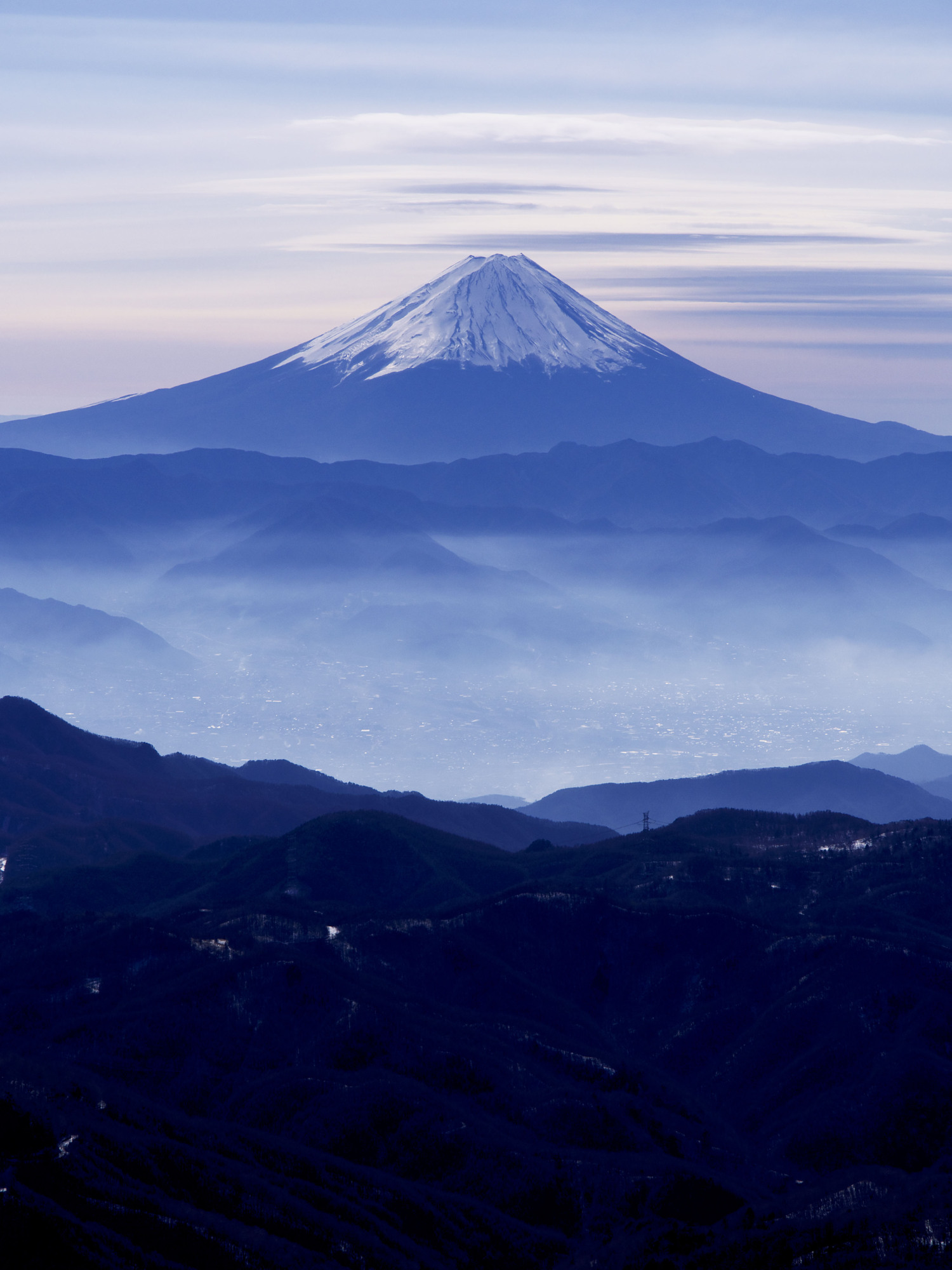 Japan Times