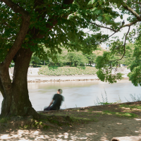 An untitled photograph from Keiko Sasaoka’s “Park City” project (2015). | TOSHIYA MURAKOSHI