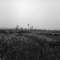 An untitled photograph by Toshiya Murakoshi. | TOSHIYA MURAKOSHI
