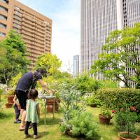 Participants collect stamps during the Ikimono Stamp Rally in Tokyo on May 19. | MORI BUILDING CO.