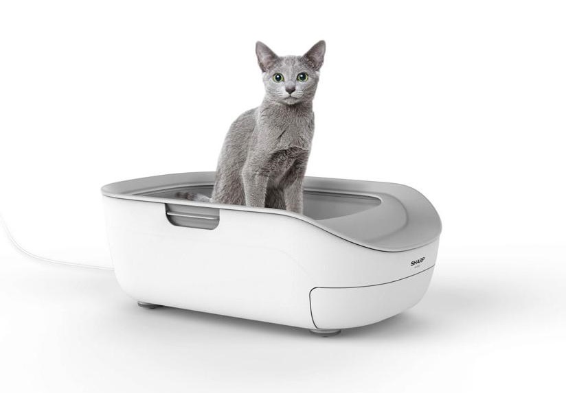 A cat sits in Sharp Corp.'s Pet Care Monitor, a high-tech cat toilet that marks the electronics maker's full-fledged entry into the Japanese pet market. | SHARP CORP. / VIA KYODO