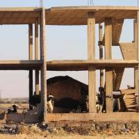 A family takes shelter with their cows in Daraa, southwestern Syria, on Saturday after several days of intensified bombardment by regime forces. | AFP-JIJI