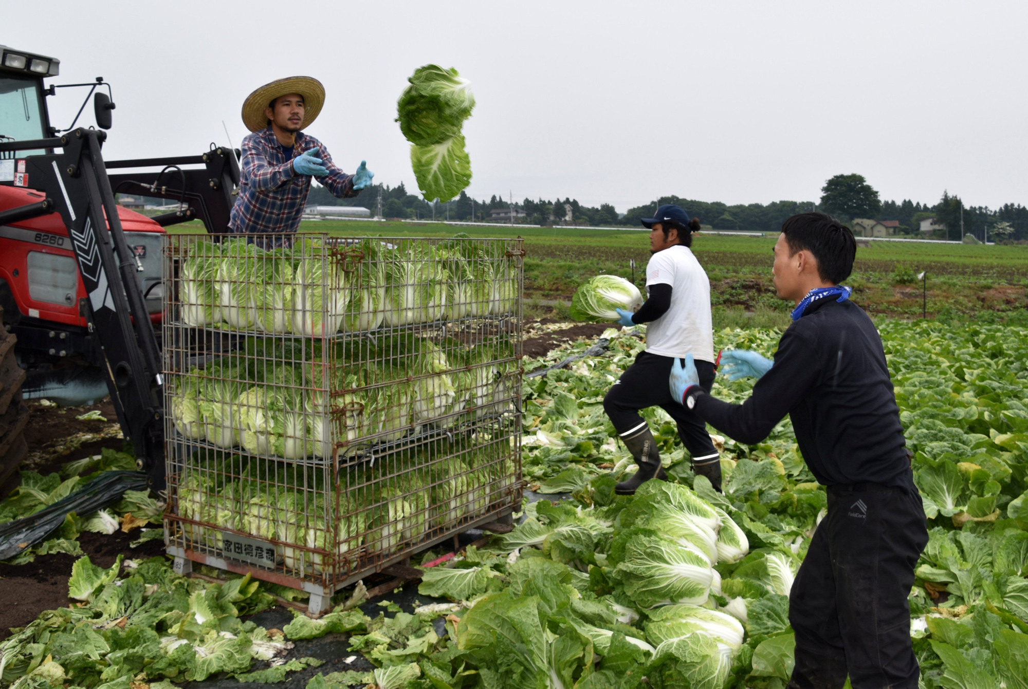 Japan may soon open doors to more blue-collar workers from abroad, according to an economic policy blueprint approved Friday. | REUTERS