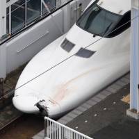 Damage is seen on the nose of the Nozomi No. 176 bullet train Thursday at JR Shin-Shimonoseki Station on the Sanyo Shinkansen Line, after it fatally collided with a man who had intruded onto the tracks. | KYODO