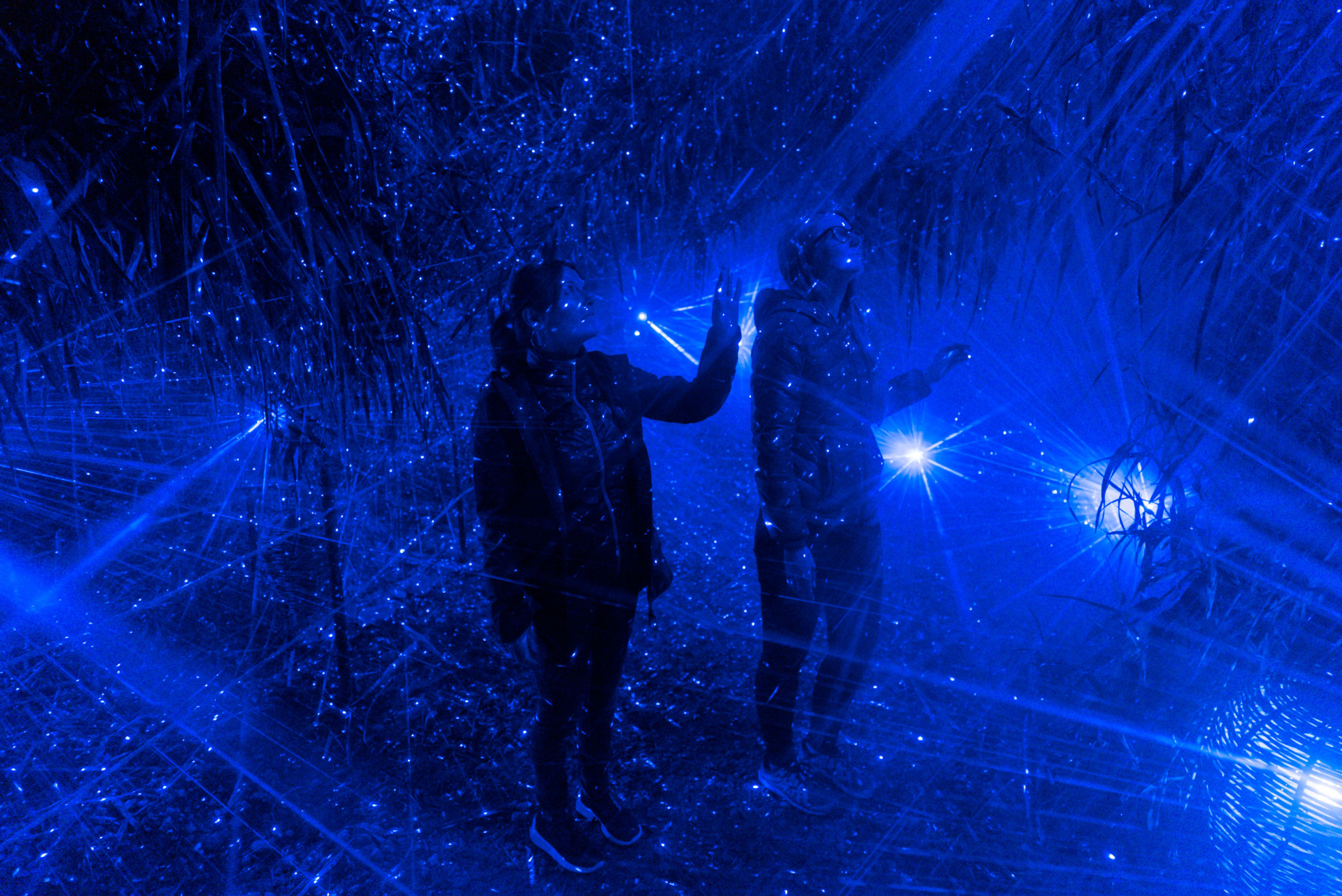 Visitors take part in Moment Factory's multimedia experience on Iojima island in Nagasaki Prefecture. | COURTESY OF MOMENT FACTORY