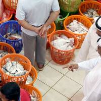 Men buy food at the Kuwait City fish market\'s daily auction on July 5. | AFP-JIJI