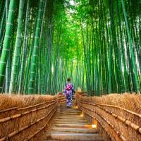 With record numbers of tourists visiting the city of Kyoto last year, overcrowded sites and traffic jams were the main complaints voiced by both foreign and Japanese visitors to the former capital. | GETTY IMAGES