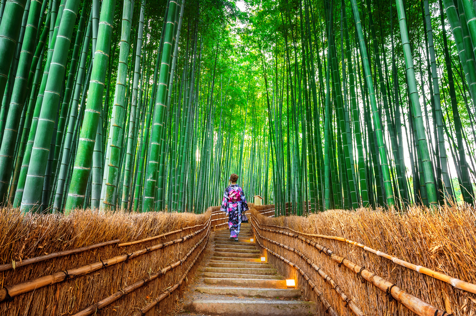 With record numbers of tourists visiting the city of Kyoto last year, overcrowded sites and traffic jams were the main complaints voiced by both foreign and Japanese visitors to the former capital. | GETTY IMAGES