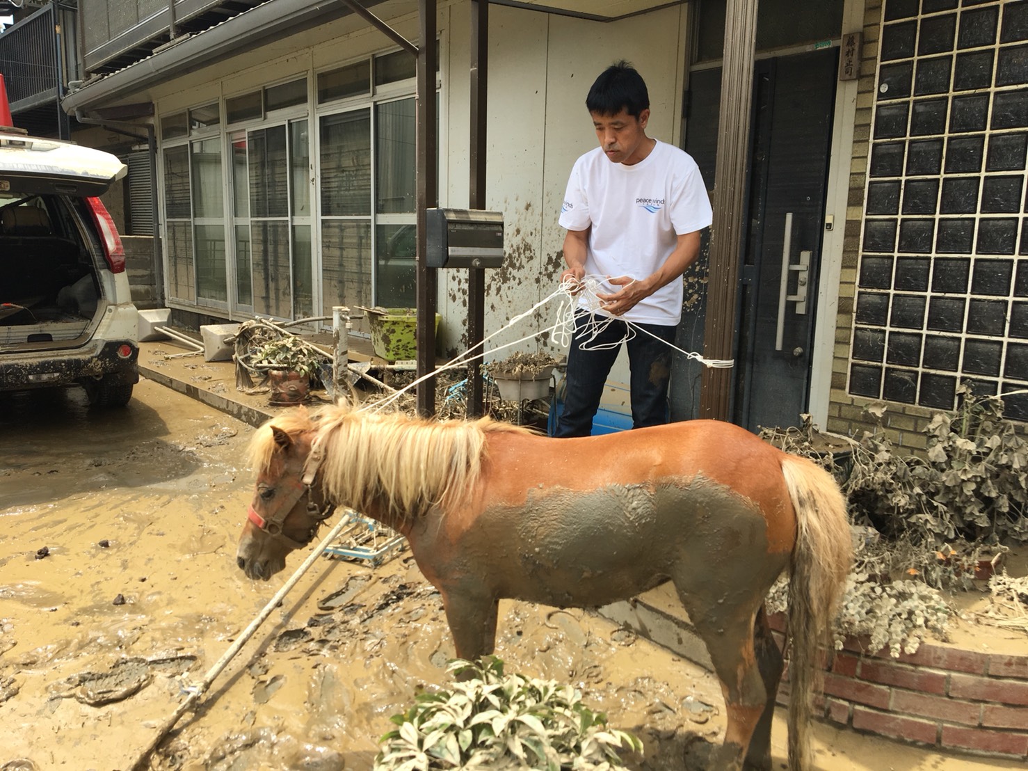 Staff of Peace Winds Japan take care of Leaf, a horse who fell from the roof of a home while crews attempted to rescue her. | COURTESTY OF PEACE WINDS JAPAN, ASIA PACIFIC ALLIANCE JAPAN AND CIVIC FORCE