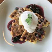 House special: Otto Knot\'s waffles, covered in raspberry sauce and ice cream. | J.J. O\'DONOGHUE