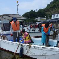 Participants haul floating eelgrass onto a fishing boat in Bizen, Okayama Prefecture, on June 9. | SHINOBU YAMADA